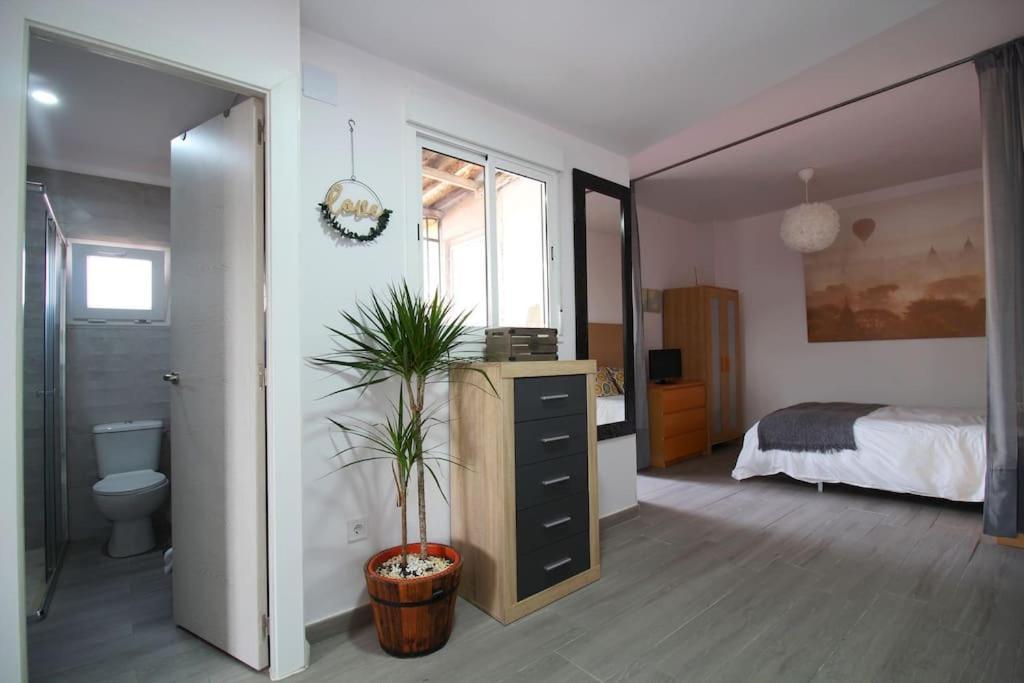 Suite Puerta Osario Con Terraza Sevilla Eksteriør bilde